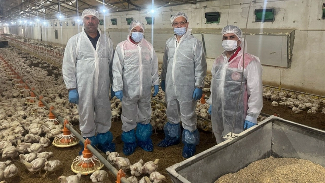 Erzincan'da işlenen tavuk eti ihraç edilerek ülke ekonomisine katkı sağlıyor