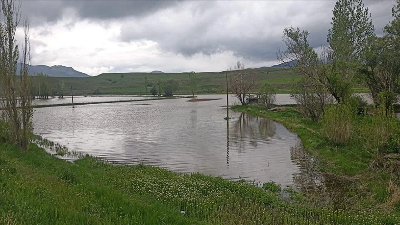 Erzincan’da sağanak sonrası bazı tarım arazileri su altında kaldı