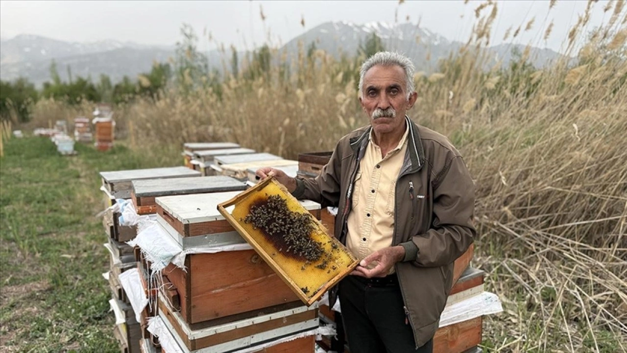 Erzincan'da soğuk geçen nisan ve geciken bahar arıcıları endişelendiriyor