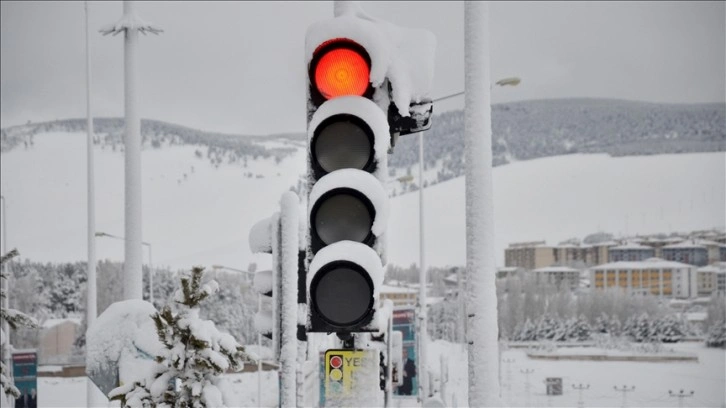 Erzurum, Kars ve Ardahan'da kar etkili oldu