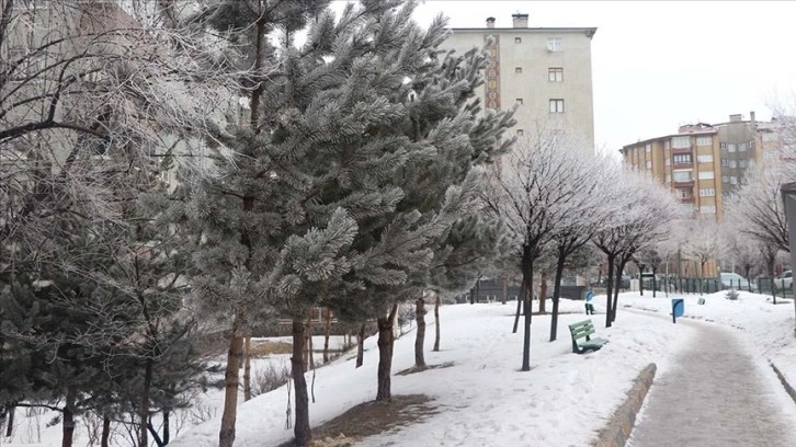 Erzurum ve Ardahan'da soğuk hava etkili oluyor