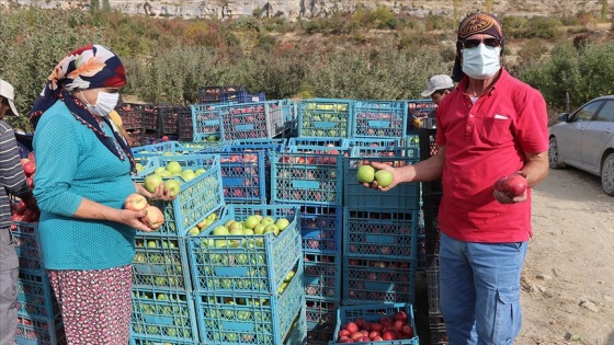 Esentepe Mahallesi'nin emekli ve üniversite mezunu çiftçileri