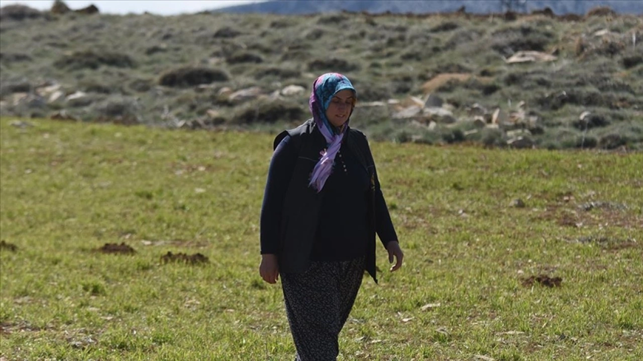 Eşinin vefatının ardından tek başına çiftçilik yapan kadın, eğitimini de aksatmıyor