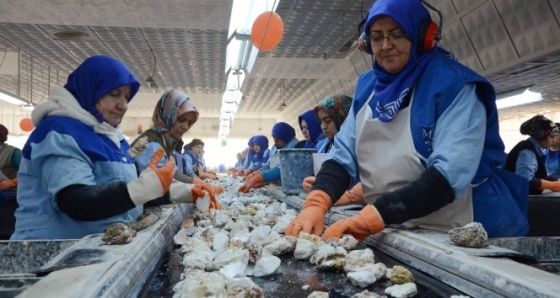 Eskişehir'in madenci kadınları