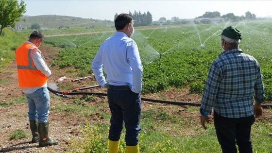 Evinden çıkamayan vatandaşın tarlasını DSİ görevlileri suladı