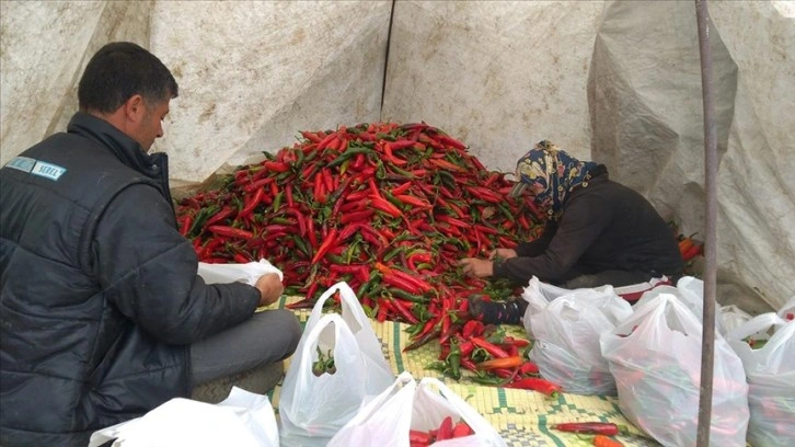 Farklı meslekler ve şehirler depremzede üreticiye destekte birleşti