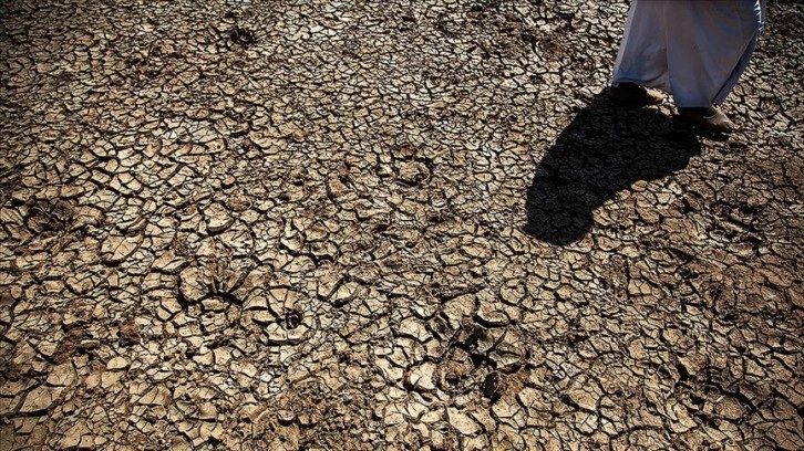 Fas hükümeti, kuraklığın vurduğu tarım sektörünü kurtarmaya çalışıyor