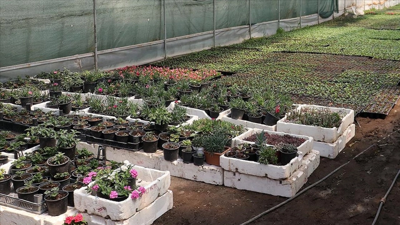 Fide sekt&ouml;r&uuml;ne y&ouml;nelik rekabet soruşturması başlatıldı