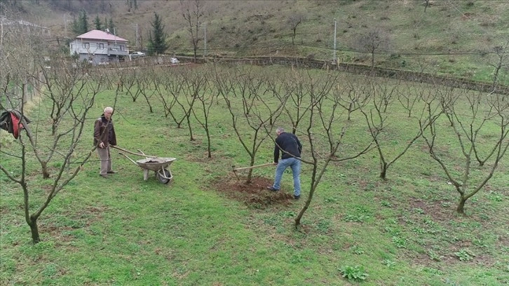 Fındıkta örnek bahçeler verim ve kaliteyi artırdı