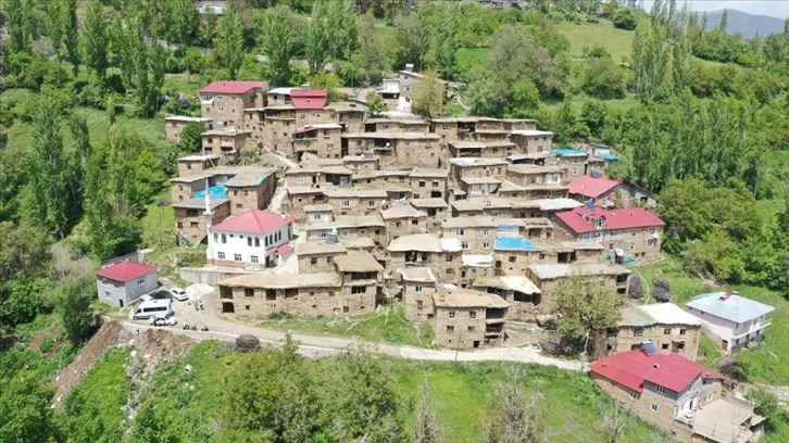 Fotoğraf tutkunları Bitlis'teki taş evleri görüntüledi