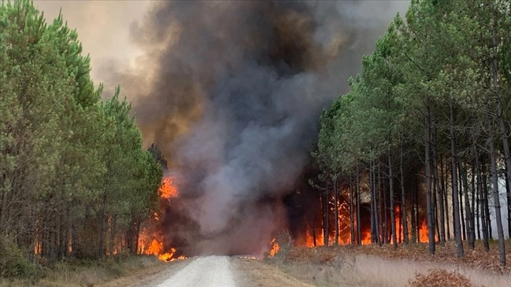 Fransa'da bu yıl yangınlar nedeniyle en az 57 bin hektar yeşil alan zarar gördü