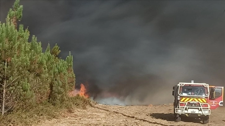Fransa'nın güneyinde çıkan yangında 1300 hektar yeşil alan zarar gördü