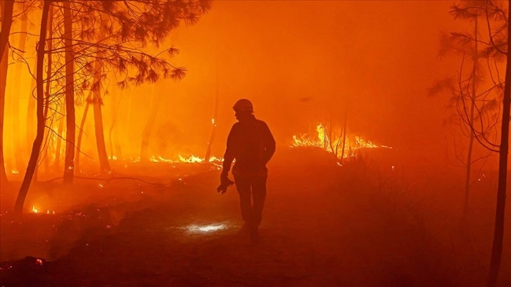 Fransa’nın Korsika Adası'ndaki yangında 450 hektarlık yeşil alan zarar gördü
