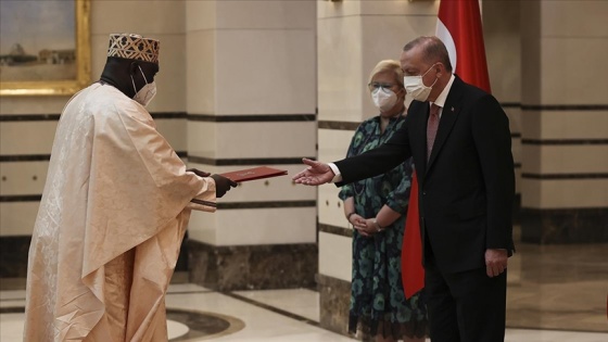 Gambiya'nın Ankara Büyükelçisi Njie, Cumhurbaşkanı Erdoğan'a güven mektubunu sundu