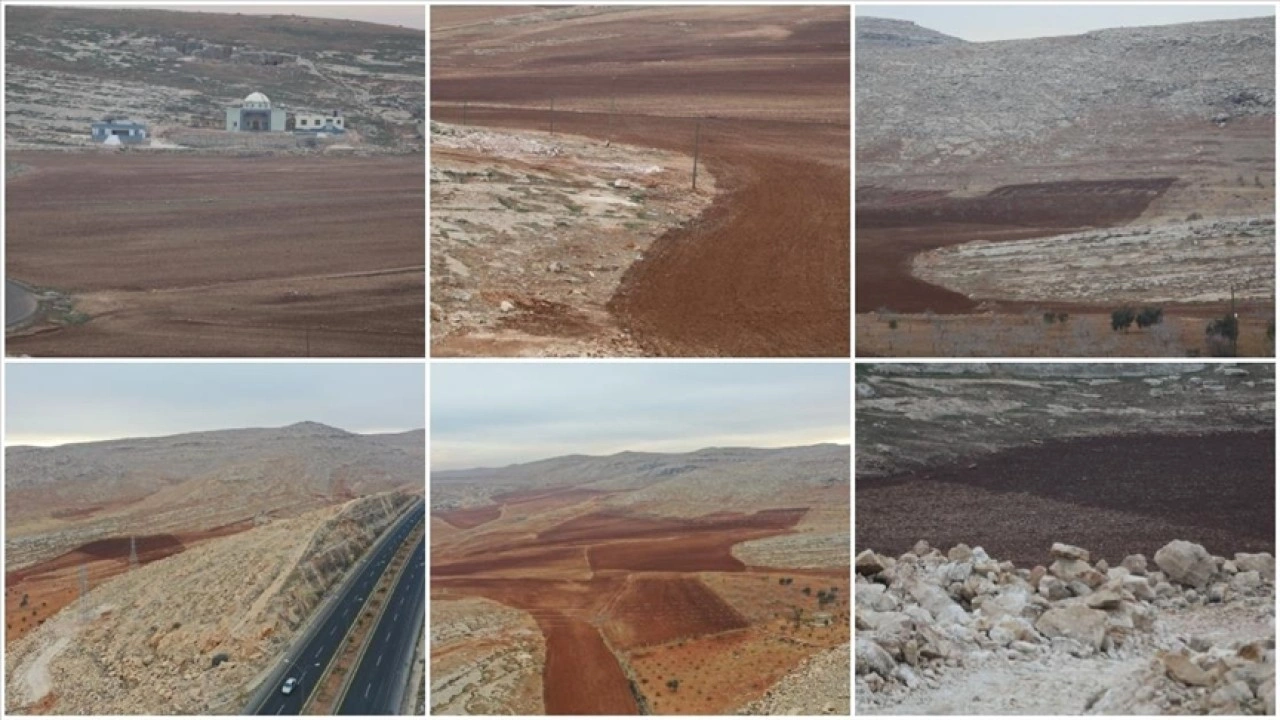 GAP b&ouml;lgesinde 50 bin dekar atıl ve taşlık arazi tarıma kazandırılacak