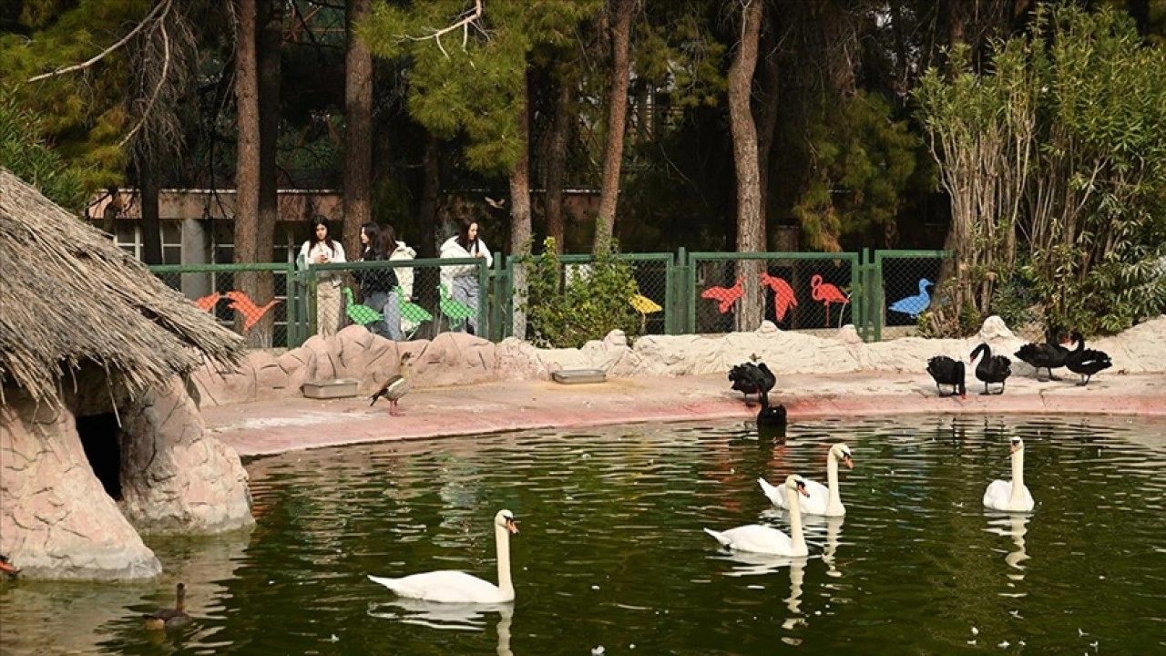 Gaziantep Doğal Yaşam Parkı, ara tatilde 325 bin kişiyi ağırladı