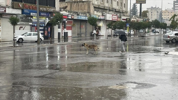 Gaziantep, Malatya ve Şanlıurfa'da sağanak etkili oluyor