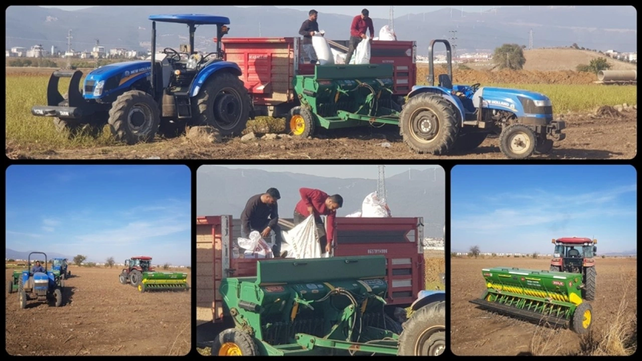 Gaziantep'teki İslahiye Ovası'nda buğday ekimine başlandı