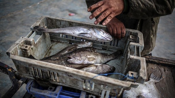 Gazzeli balıkçılar 'avlanma mesafesinden' yakınıyor