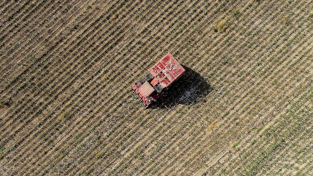 Geçen yıl 105 tarımsal amaçlı kuruluş "birinci derece örgüt belgesi" aldı