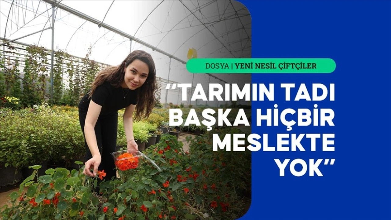 Genç çiftçi raf ömrünü 30 güne çıkardığı yenilebilir menekşeleri pazarlıyor