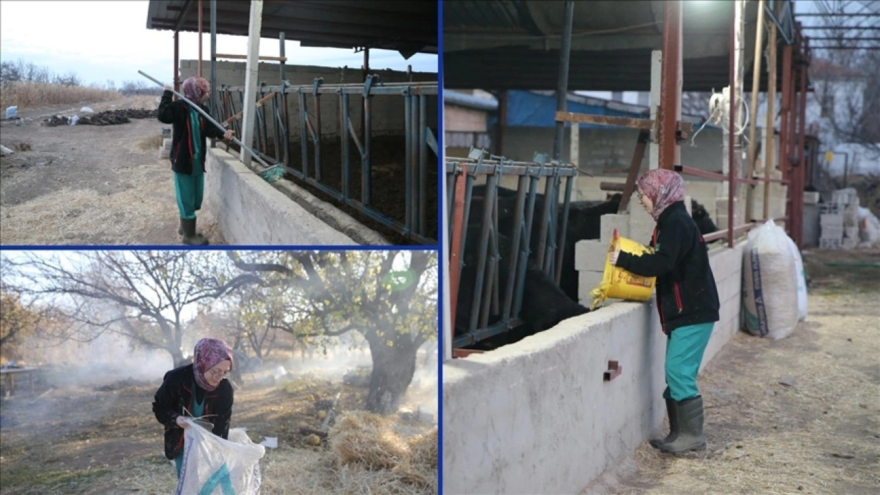 Genç kadın veteriner devlet desteğiyle hayvancılığa başladı