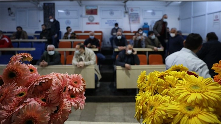 Gerbera geçen yıl üretimi en fazla artan kesme çiçek türü oldu