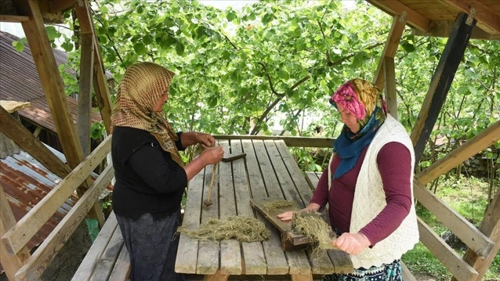 Giresun'da kadınlar tekstil firmaları için ısırgan otundan iplik üretiyor