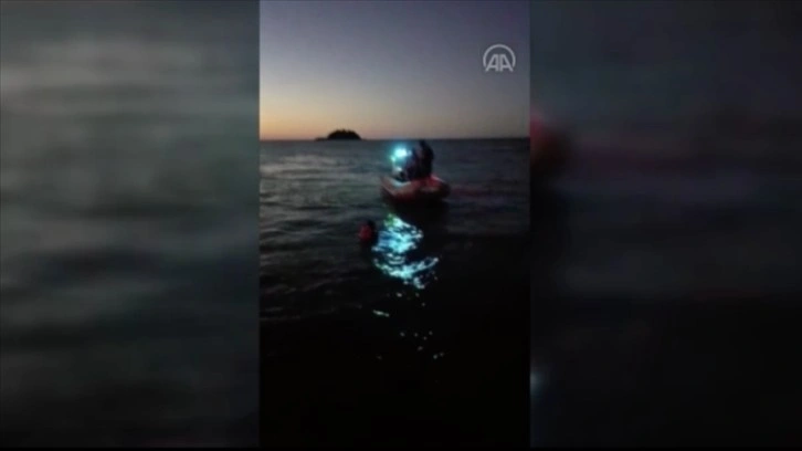 Giresun'da sığ suda sıkışan yunus kurtarılarak denize bırakıldı