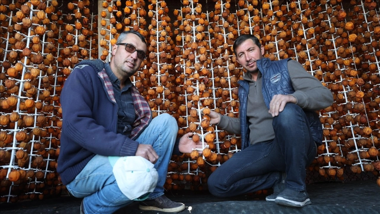 Girişimci iki komşunun kuruttuğu cennet hurması yurt içi ve dışında alıcı buluyor