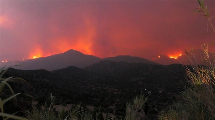 GKRY, Limasol'daki orman yangınıyla mücadele için bölge ülkelerinden yardım istedi