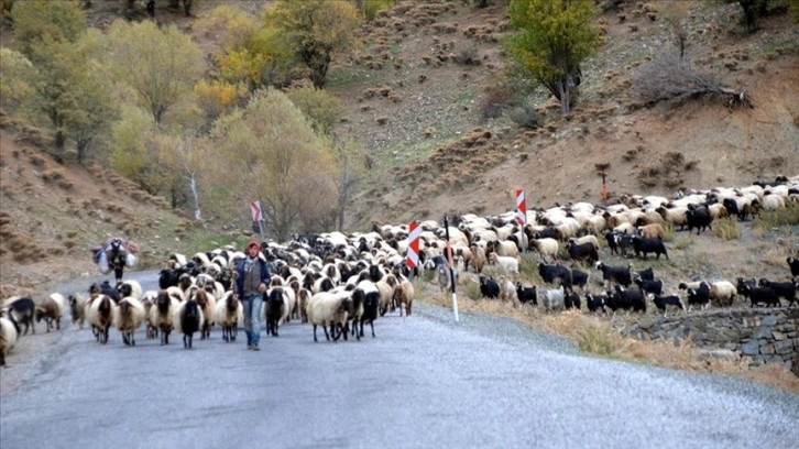 Göçerler havaların soğumasıyla memleketlerine dönüyor