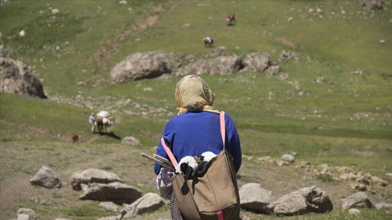 Göçerlerin zorlu yayla yaşantısı