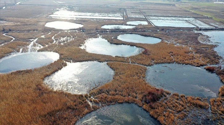 Göçmen kuşların uğrak noktası 'Göl Baba' sulak alanı buz tuttu