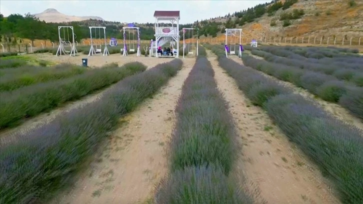 Gökçeyurt Vadisi'ndeki lavanta bahçesi fotoğraf tutkunlarının yeni gözdesi