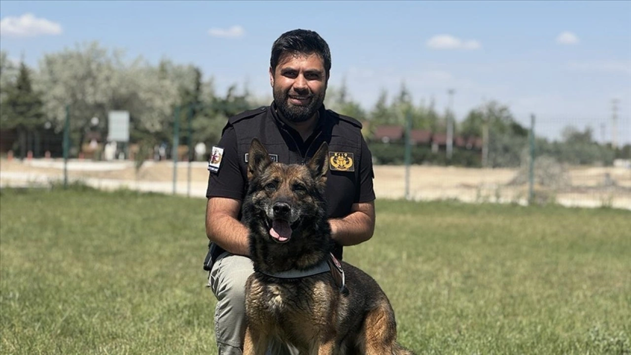 Görevini tamamlayan emniyetin bomba arama köpeği "Artur" ekip arkadaşından ayrılmayacak