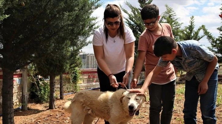 Görme engelli öğrenciler 'Toprak' ile köpek korkularını yendi