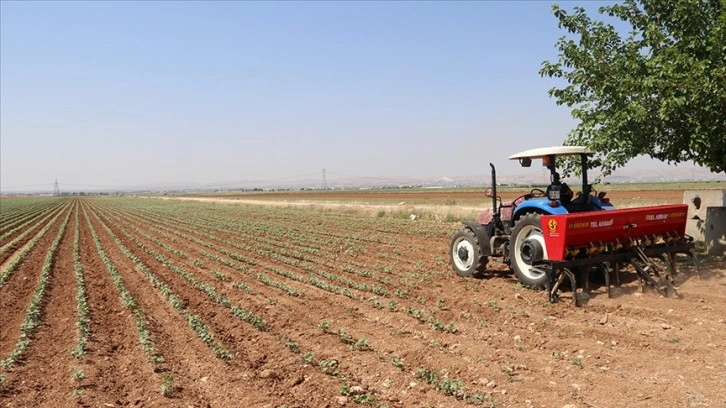 Gübre fiyatlarındaki rekor yükseliş küresel düzeyde çiftçilerin üretim maliyetini artırıyor