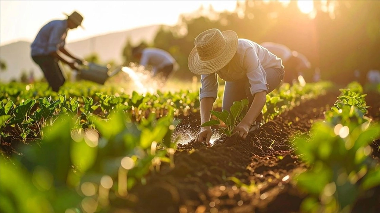 G&uuml;bre ham maddesi &uuml;re i&ccedil;in ithalatta g&uuml;mr&uuml;k vergisi sıfırlandı