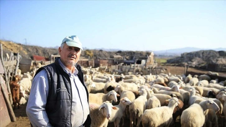 Gübre ve yem fiyatlarındaki indirim üreticileri sevindirdi