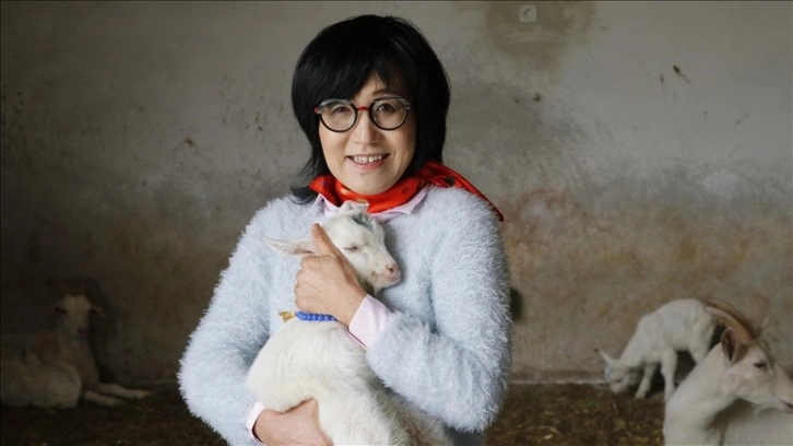 Güney Koreli girişimci kadın, ailesiyle yerleştiği Kocaeli'de keçi çiftliği kurdu