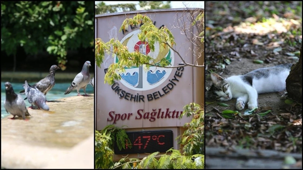 Günün ilk yarısında sıcaklıklar 16 kentte 40 dereceyi gördü