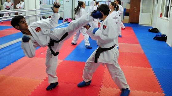 Gürcü karateci kardeşler, Türkiye adına ter döküyor