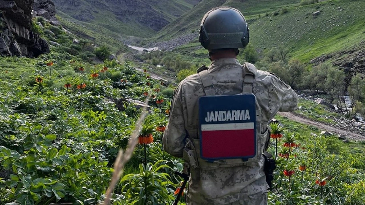 Hakkari'de açan ters laleleri jandarma koruyor