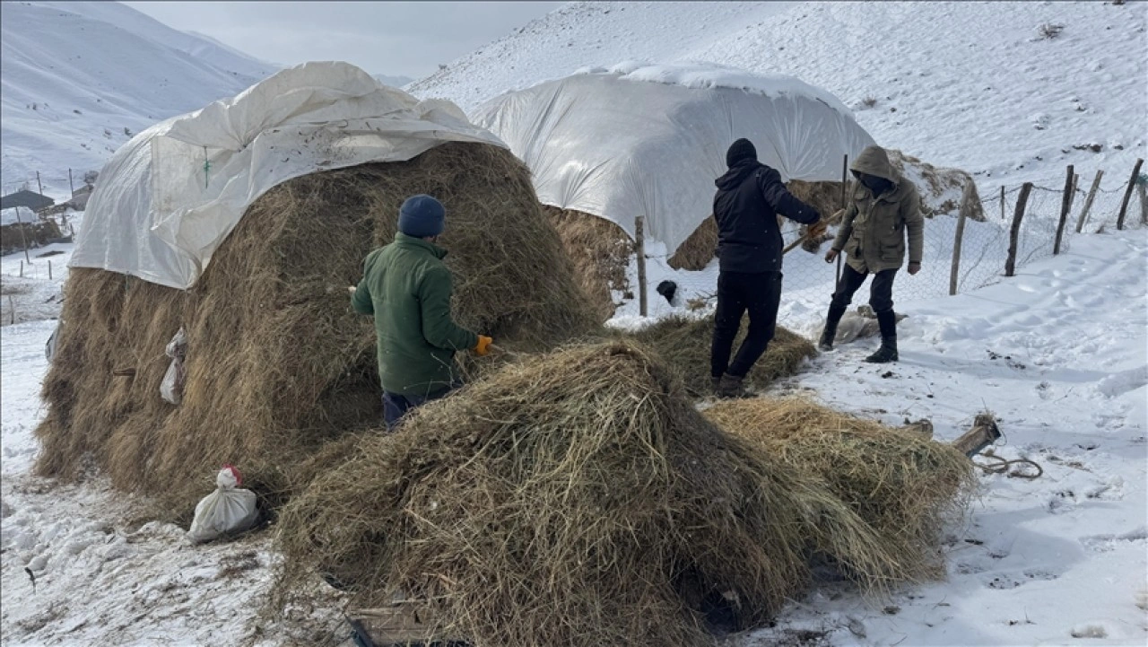 Hakkari'de besiciler hayvanları i&ccedil;in kar ve soğukla m&uuml;cadele ediyor
