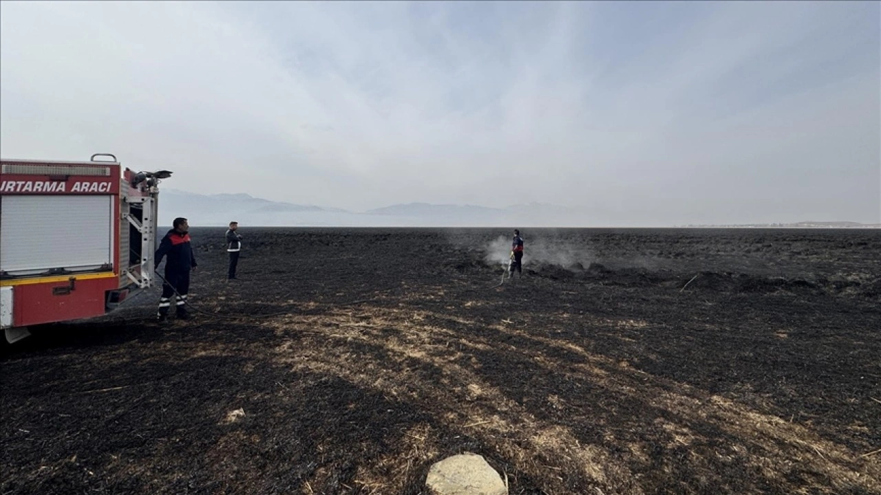 Hakkari'deki Nehil Sazlığı'nda 7 Kasım'da çıkan yangın söndürüldü