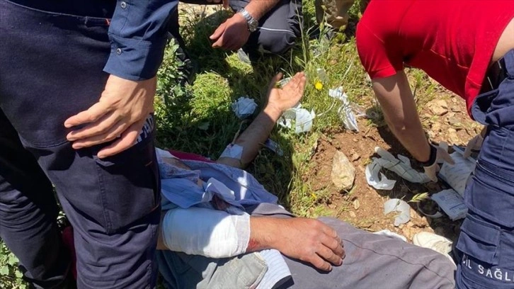 Hakkari'de hayvanlarını otlatırken ayının saldırdığı kişi yaralandı