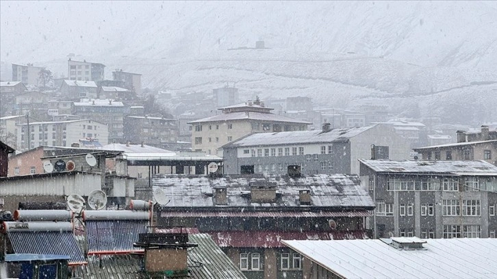 Hakkari'de kar ve sis ulaşımı aksatıyor