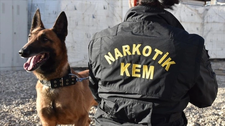 Hakkari'de narkotik dedektör köpekler polisin en büyük destekçisi oldu