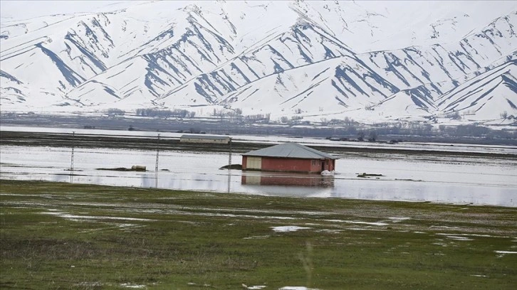 Hakkari'de yağışlar nedeniyle tarım arazileri ve bazı evler su altında kaldı